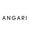 Angari